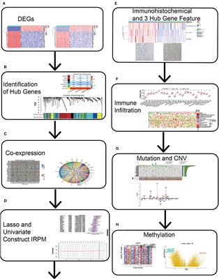 Multiomics Data Analysis and Identification of Immune-Related Prognostic Signatures With Potential Implications in Prognosis and Immune Checkpoint Blockade Therapy of Glioblastoma